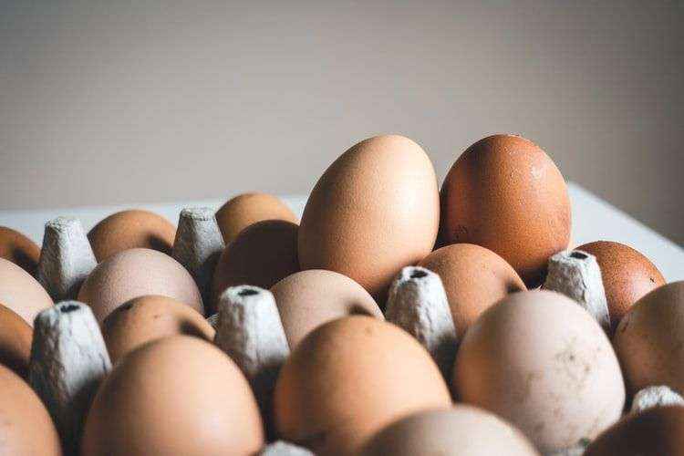 Los beneficios del huevo en el desayuno según Despensa Ecológica