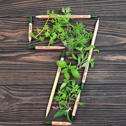Sprout World cumple 7 años con 30 millones de lápices plantables vendidos en 80 países