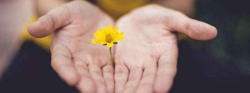 Consulta Ayurveda en Granada