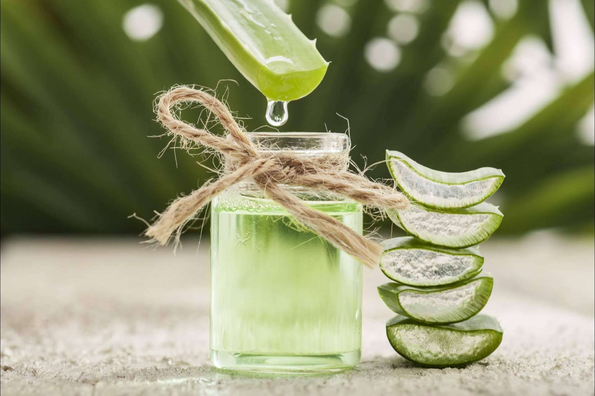 Trabajar online, uno de los grandes beneficios de convertirse en distribuidor/a independiente de Territorio Aloe