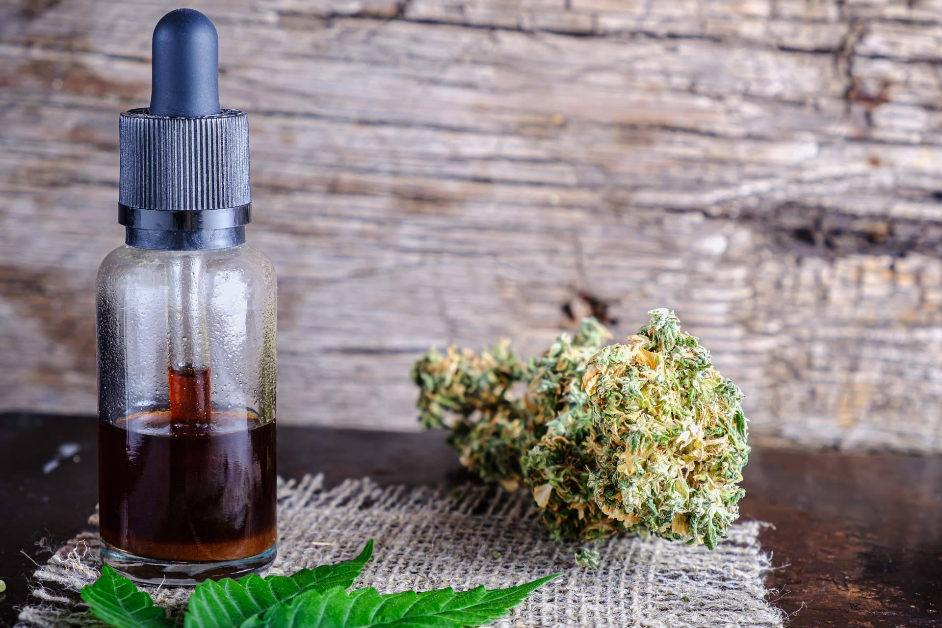 La Mal Querida Sativa expone los principales beneficios de la resina de cáñamo