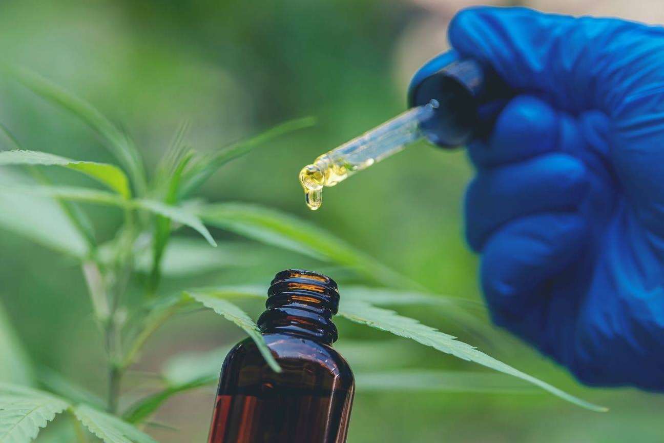 La creciente fama del CBD, por CrisEssens