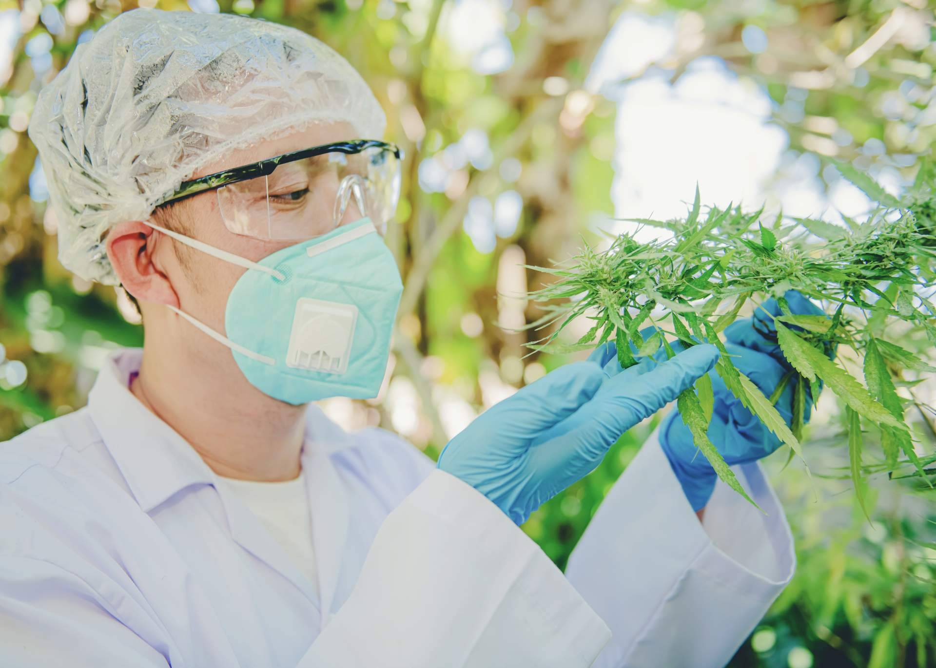 Los beneficios que ofrece el CBD para el deporte, por Greengos