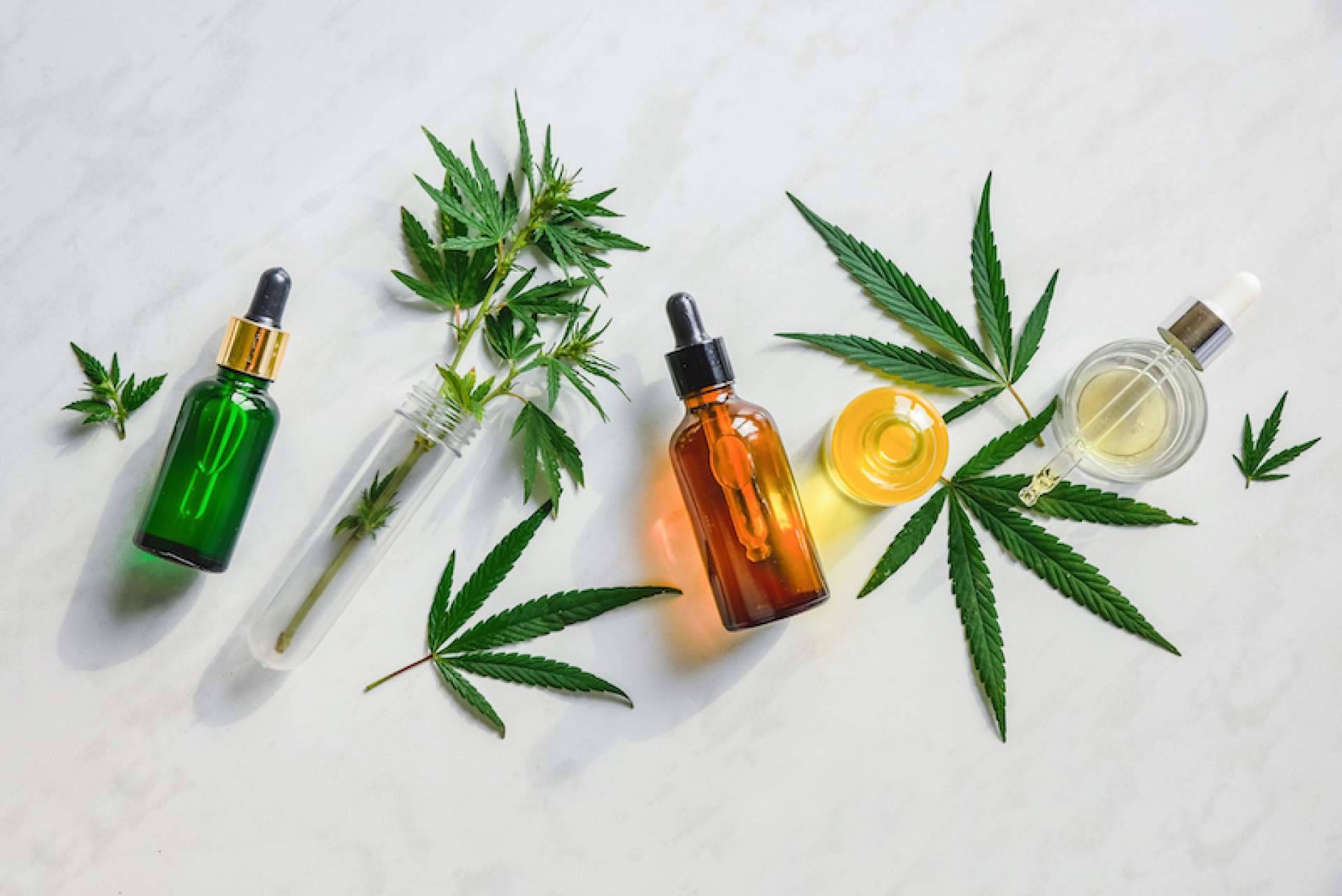 Bee Products triunfa en el sector del CBD