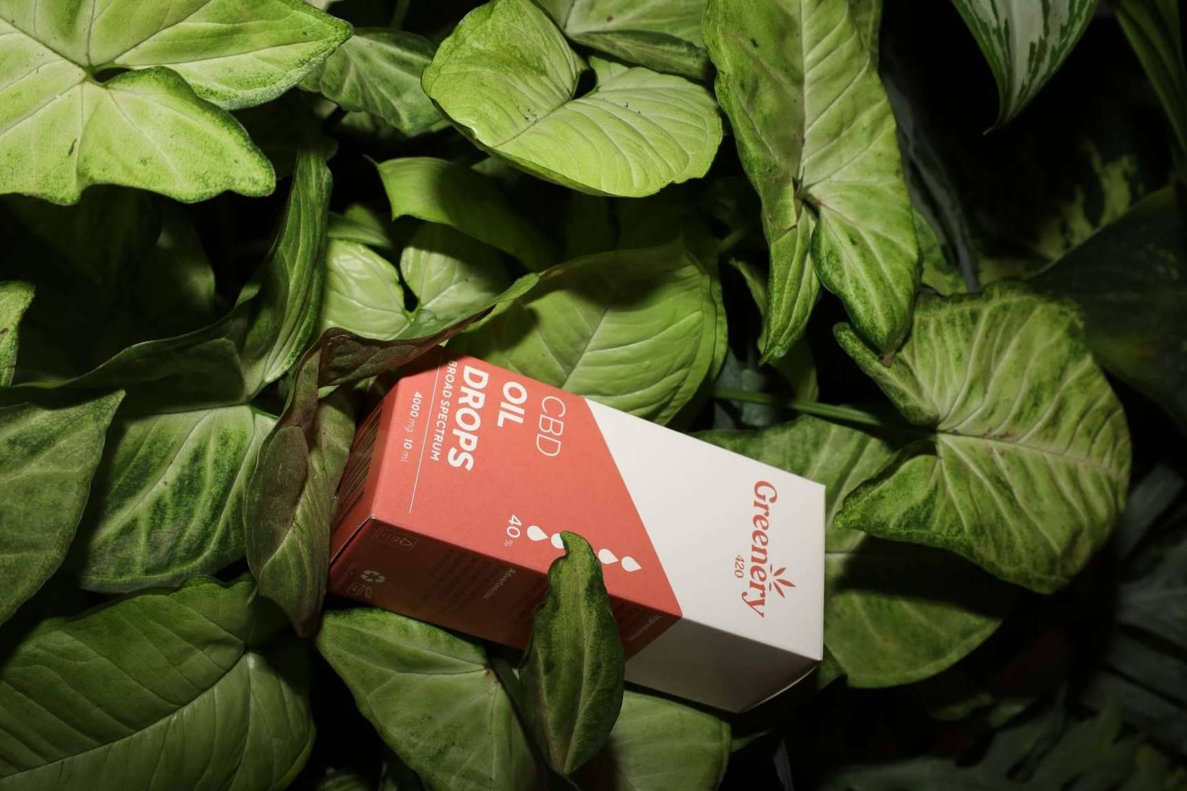 Greenery 420 subraya los desafíos regulatorios del CBD en España en el marco del Día del Cannabis