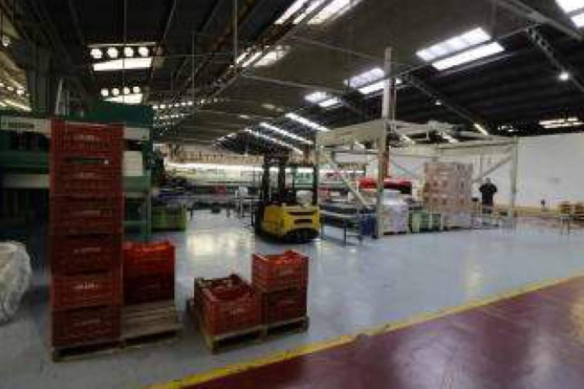 A subasta una gran plataforma logística hortofrutícola en Potríes (Valencia), valorada en más de 3.7 millones